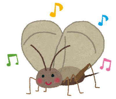 秋の夜長の音色🎵